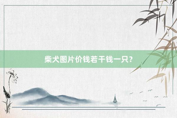 柴犬图片价钱若干钱一只？