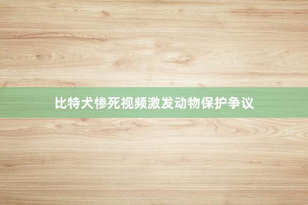 比特犬惨死视频激发动物保护争议
